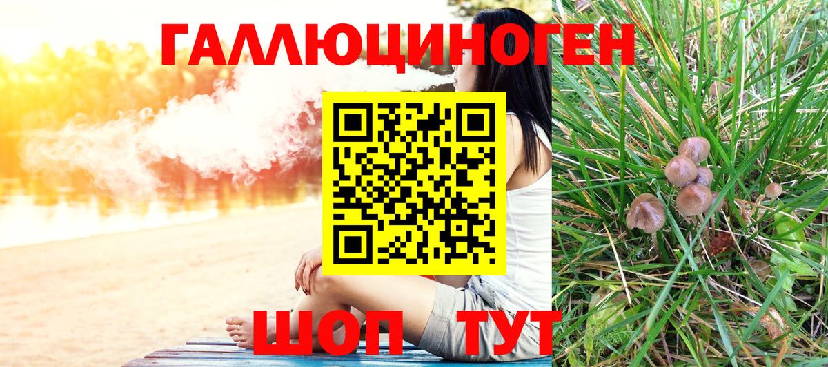 Верхняя Салда  Псилоцибиновые грибы Cubensis  Вход с VPN 